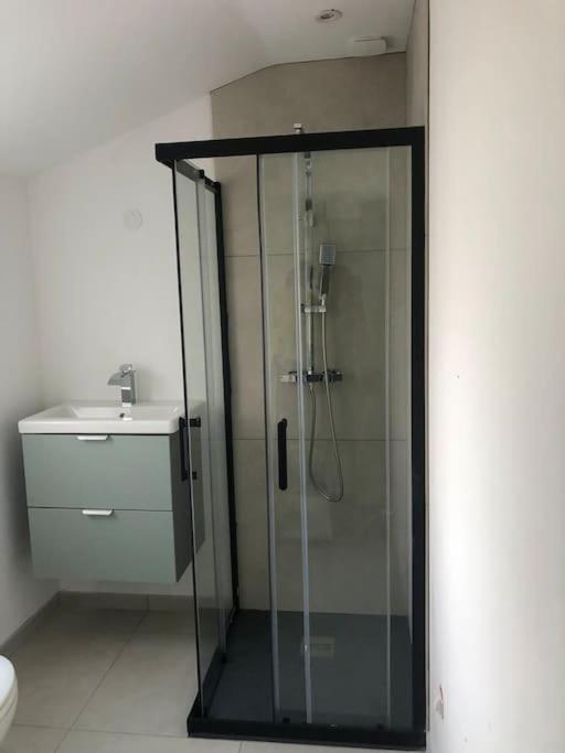 Appartement Cosy-Grand Stade Villeneuve D'Ascq Lezennes ภายนอก รูปภาพ