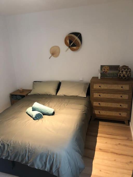 Appartement Cosy-Grand Stade Villeneuve D'Ascq Lezennes ภายนอก รูปภาพ